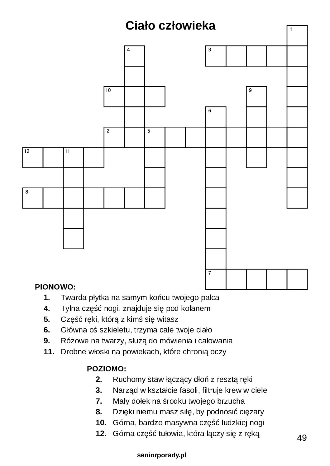 Darmowy plik PDF z trzema przykładowymi krzyżówkami dla seniora do wydrukowania w domu. Trening umysłu duży druk.