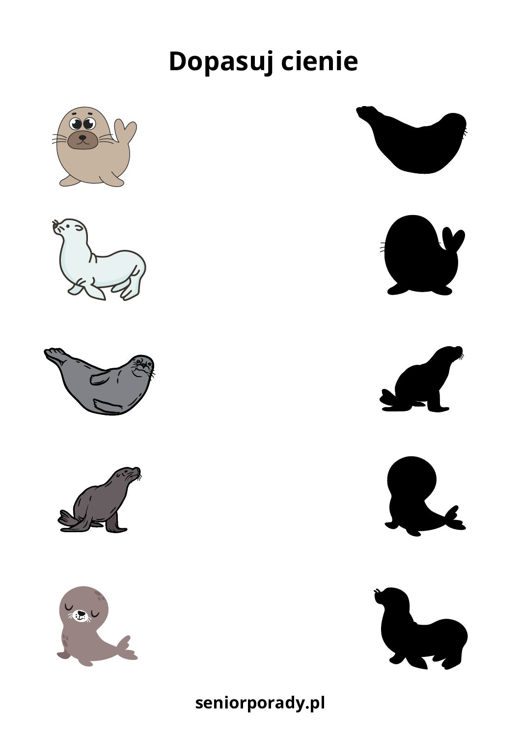 Karta pracy do druku z fokami zadanie dopasuj cień trening pamięci i spostrzegawczości