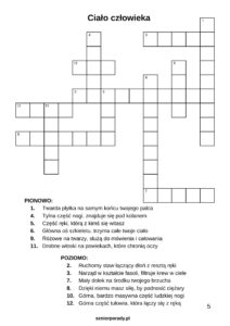 Wzór krzyżówki dla seniorów o tematyce anatomii i ciała człowieka do druku. Wyraźna, duża czcionka i czytelne hasła, które nie męczą wzroku.