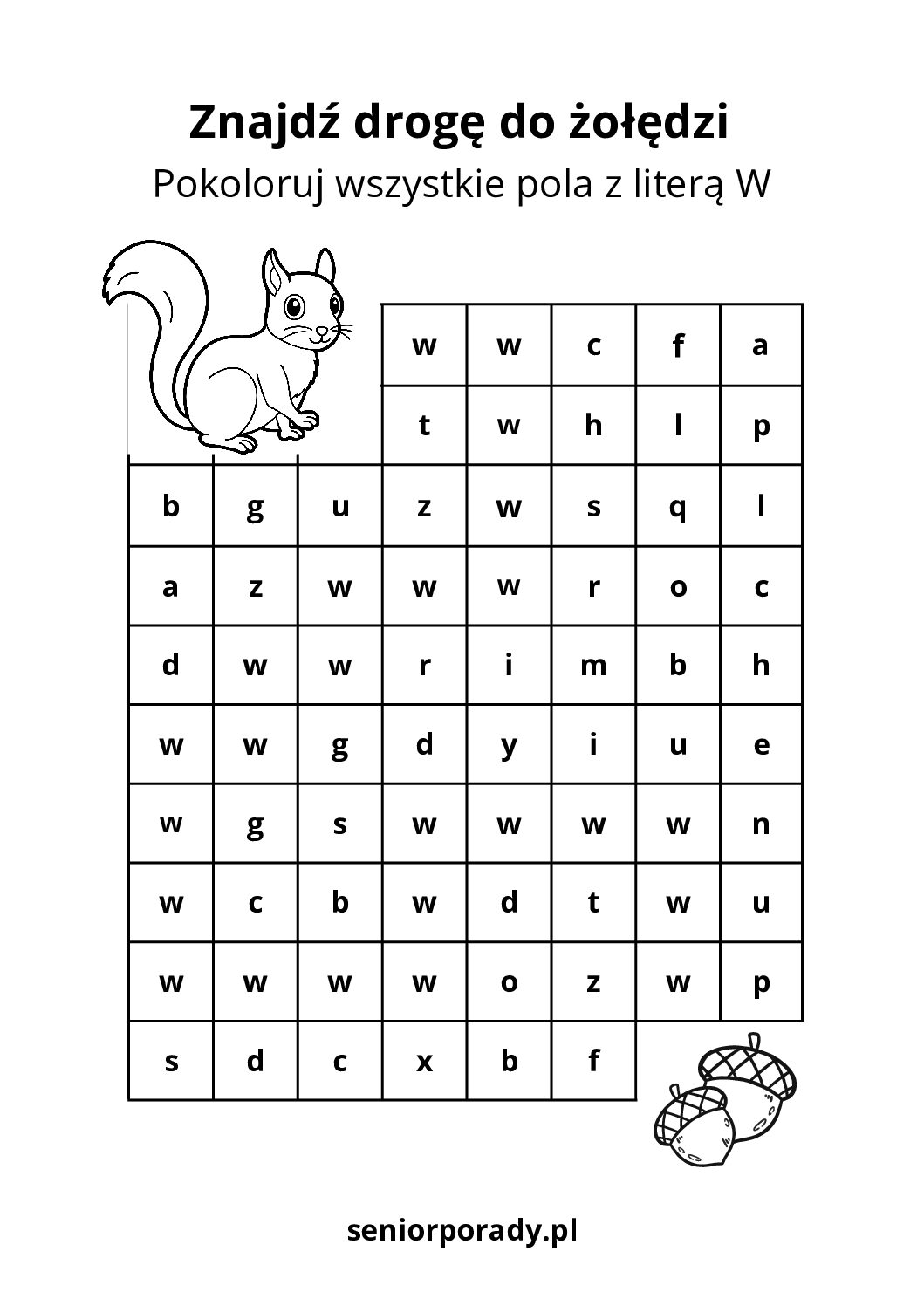 Karta pracy edukacyjna. Labirynt polegający na odnalezieniu drogi do żołędzi poprzez kolorowanie pól z literą W. Nauka literek i ćwiczenie spostrzegawczości.