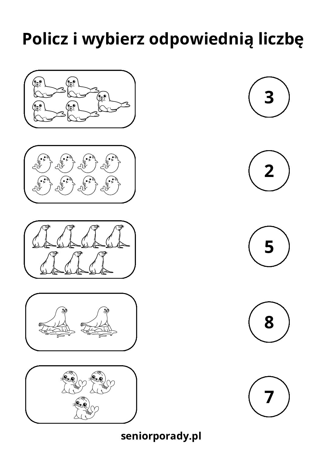 Ćwiczenia matematyczne liczenie fok na obrazku darmowy materiał edukacyjny w formacie pdf