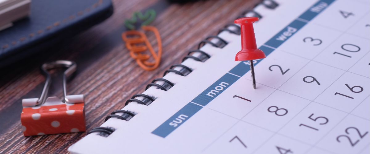 Kalendarz księżycowy w ogrodnictwie – czy warto się nim kierować?