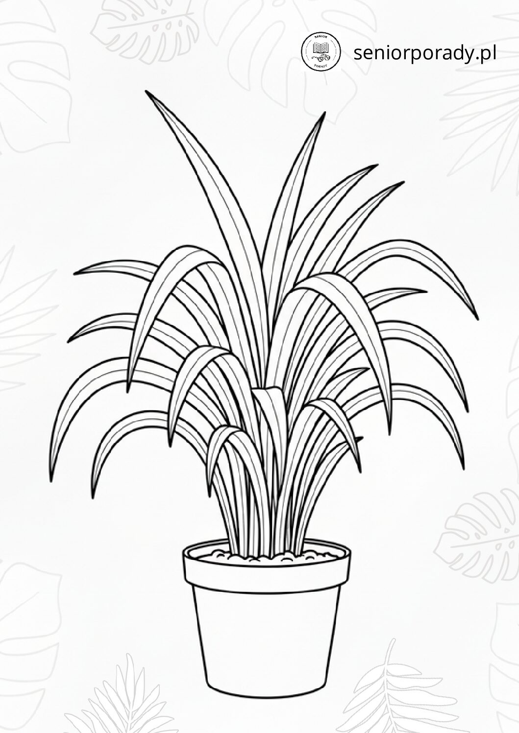 Zielistka - trawa doniczkowa o długich liściach, kolorowanka relaksacyjna