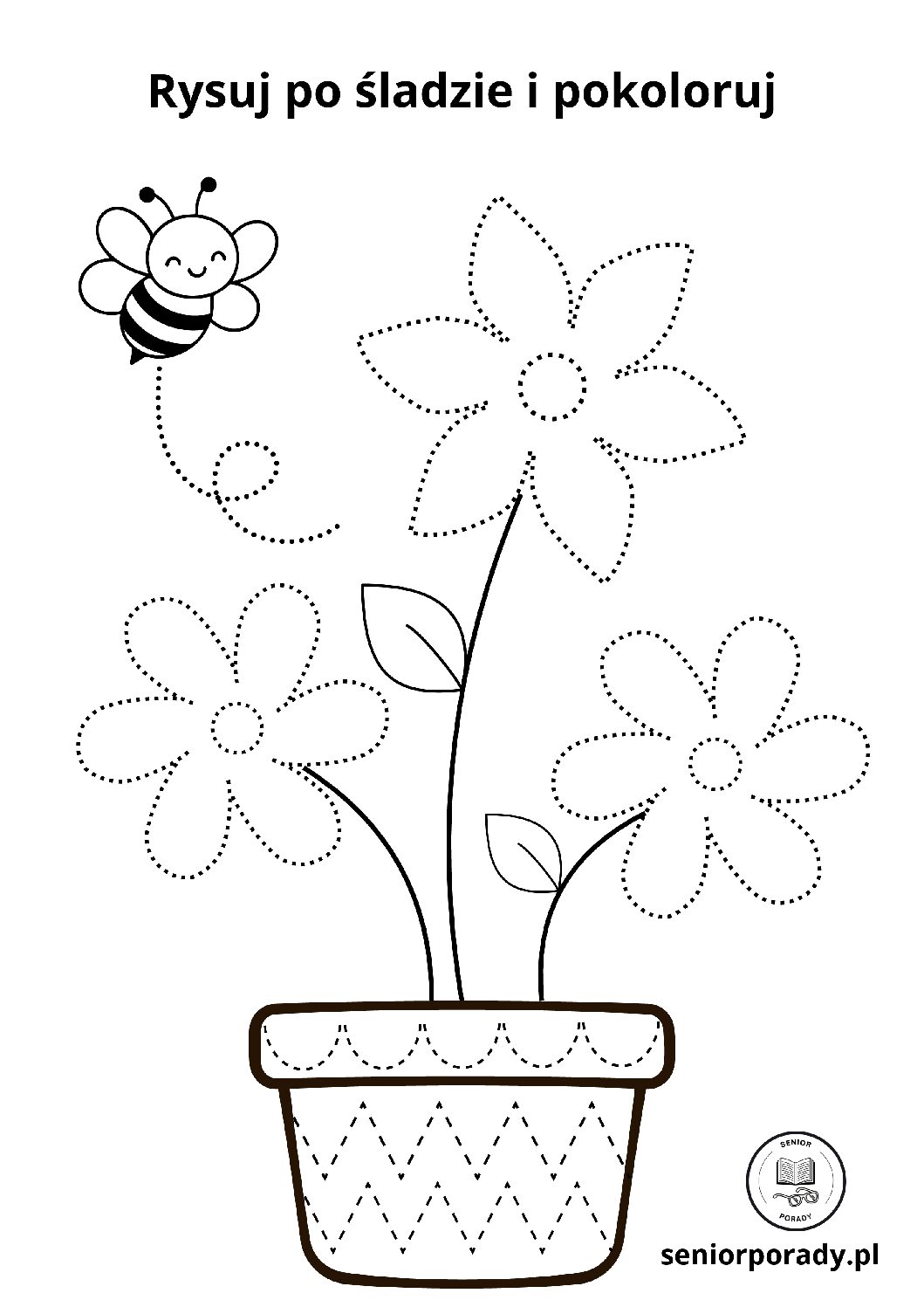 Łamigłówki – wyzwanie tygodniowe zestaw 4