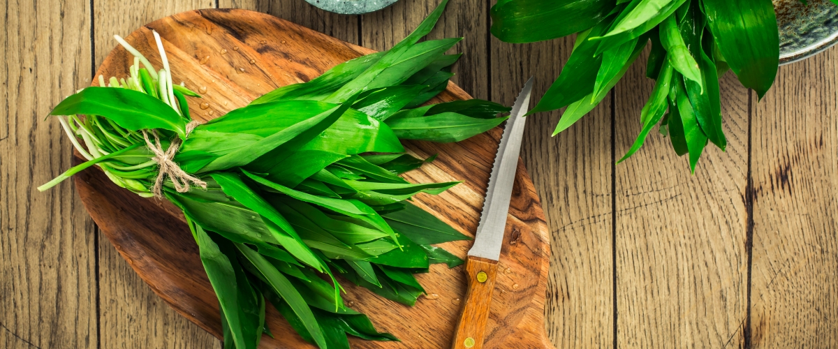 Domowe pesto z czosnku niedźwiedziego – przepis i zdrowotne korzyści