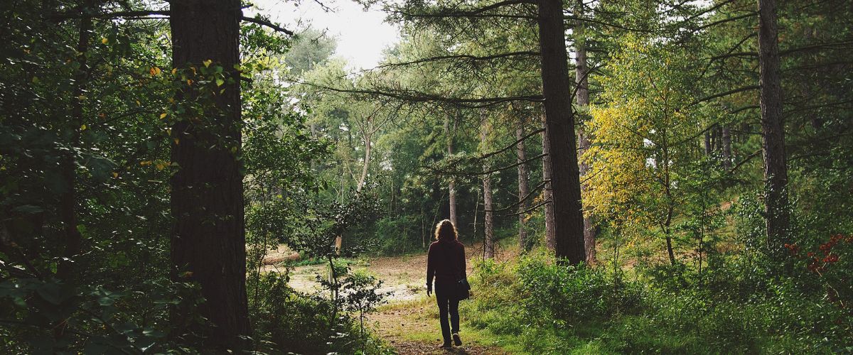 Zalety regularnych spacerów: Dlaczego codzienne chodzenie to klucz do zdrowia?