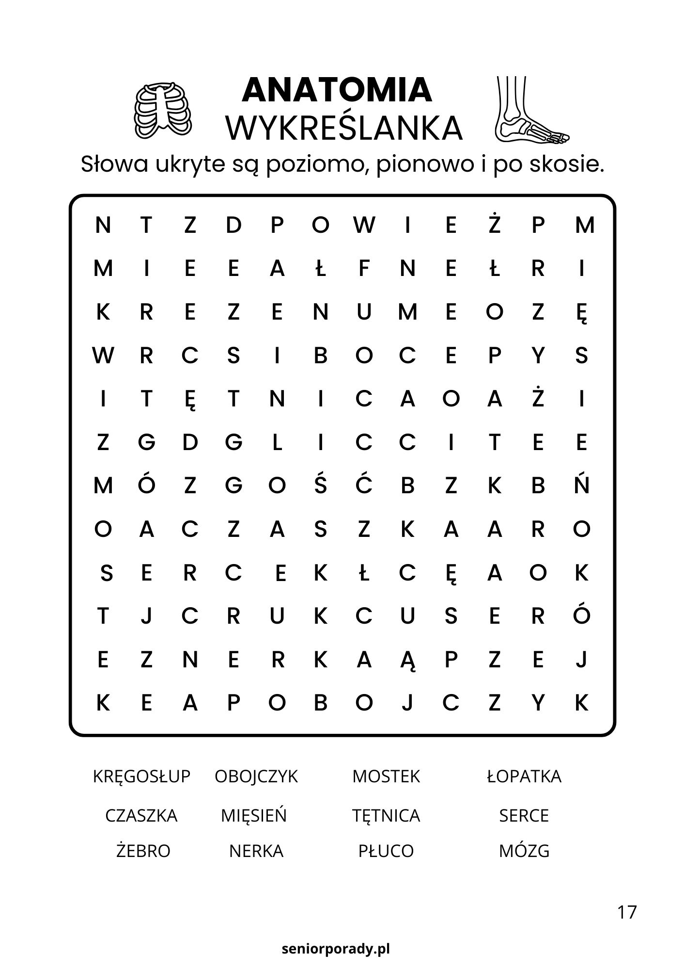 Przykładowa strona z ebooka: Wykreślanka anatomiczna dla seniorów. Łamigłówka zawiera 12 haseł związanych z ciałem człowieka, przygotowana dużą, czytelną czcionką.
